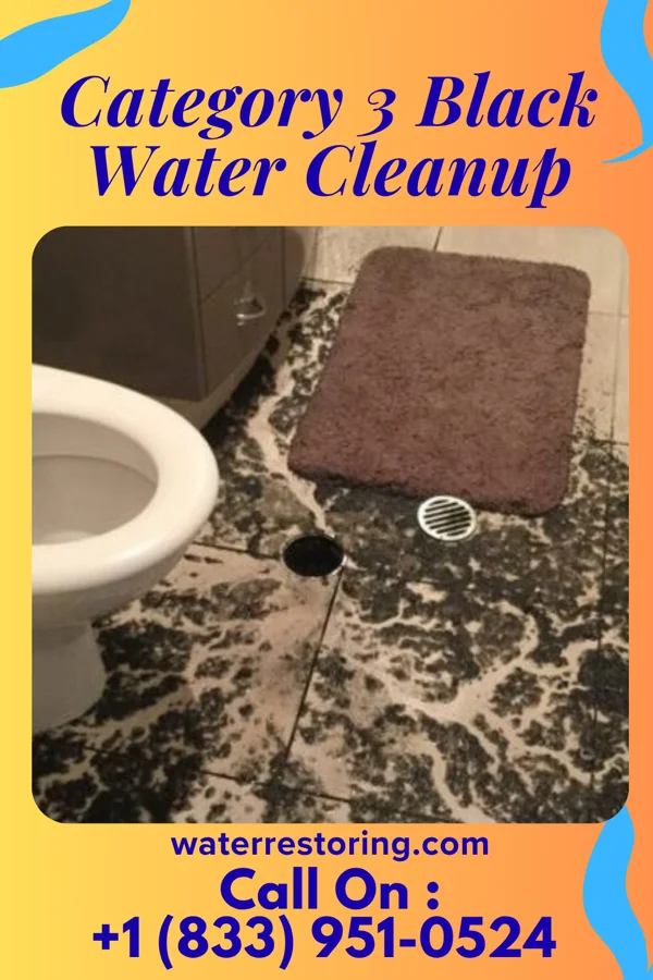 Category 3 Black Water Cleanup in Edmore, ND